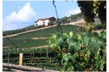 Италия Privát Giovo, Екстериор